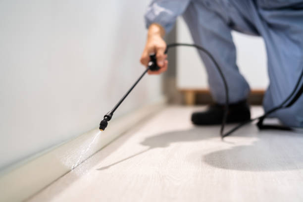 Bed Bug Pre-Treatment Preparation Assessment in Wenonah