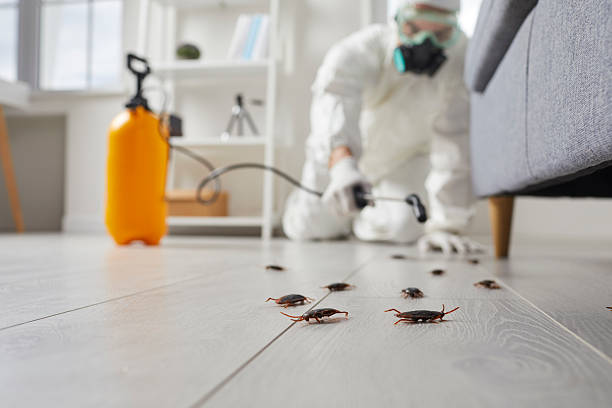 Post-Treatment Bed Bug Interceptor Monitoring in Wenonah