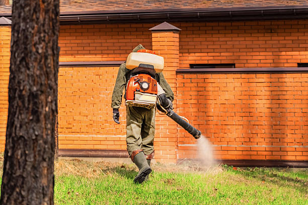 Bed Bug Clearance Verification and Documentation in Wenonah